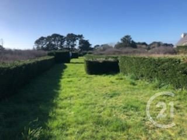 Afficher la photo en grand terrain à vendre - 721.0 m2 - ST PIERRE QUIBERON - 56 - BRETAGNE - Century 21 La Presqu'Île