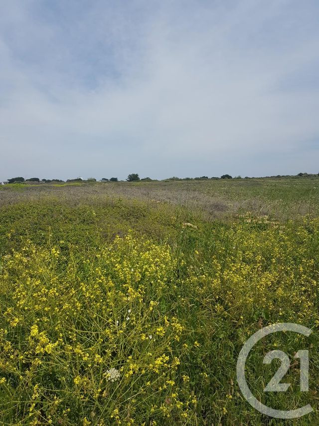 terrain à vendre - 1460.0 m2 - QUIBERON - 56 - BRETAGNE - Century 21 La Presqu'Île