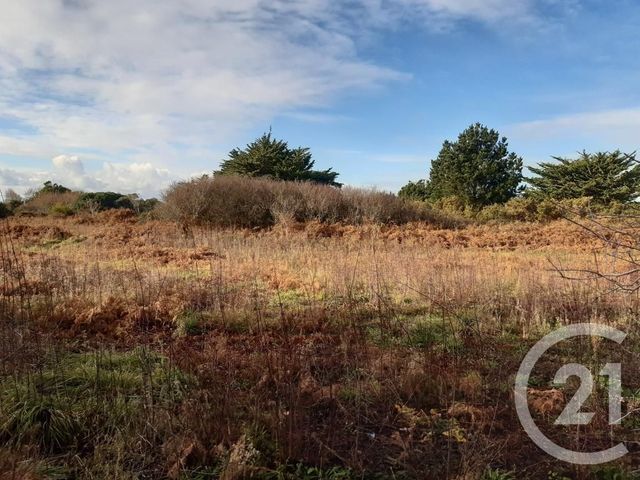 Afficher la photo en grand terrain à vendre - 2740.0 m2 - QUIBERON - 56 - BRETAGNE - Century 21 La Presqu'Île