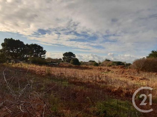 Afficher la photo en grand terrain à vendre - 2740.0 m2 - QUIBERON - 56 - BRETAGNE - Century 21 La Presqu'Île