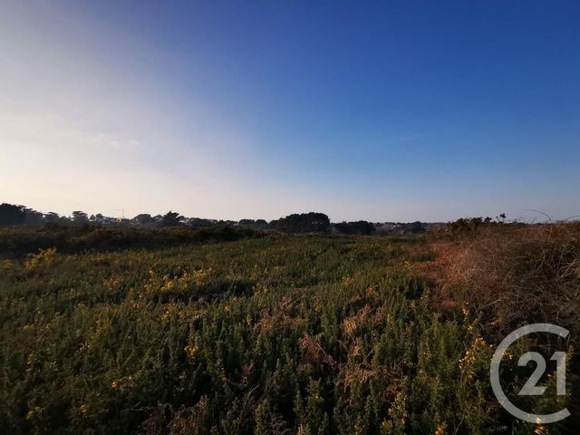 Afficher la photo en grand terrain à vendre - 822.0 m2 - QUIBERON - 56 - BRETAGNE - Century 21 La Presqu'Île