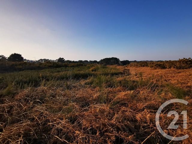 terrain à vendre - 822.0 m2 - QUIBERON - 56 - BRETAGNE - Century 21 La Presqu'Île