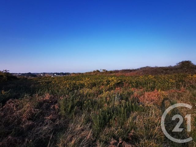 Afficher la photo en grand terrain à vendre - 2650.0 m2 - QUIBERON - 56 - BRETAGNE - Century 21 La Presqu'Île