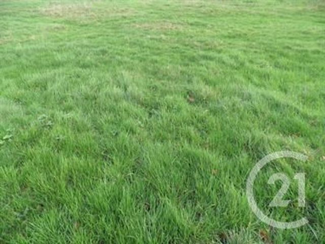 terrain à vendre - 978.0 m2 - ST PIERRE QUIBERON - 56 - BRETAGNE - Century 21 La Presqu'Île