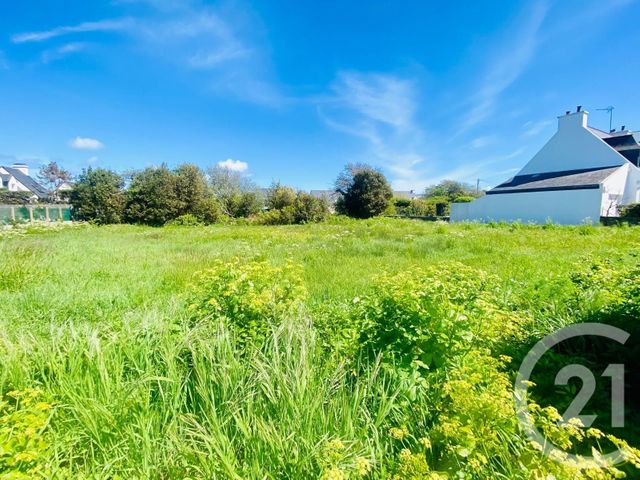 Afficher la photo en grand terrain à vendre - 994.0 m2 - QUIBERON - 56 - BRETAGNE - Century 21 La Presqu'Île