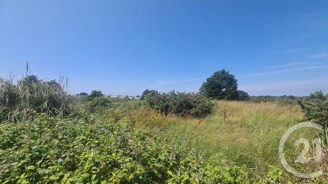 terrain à vendre - 995.0 m2 - QUIBERON - 56 - BRETAGNE - Century 21 La Presqu'Île