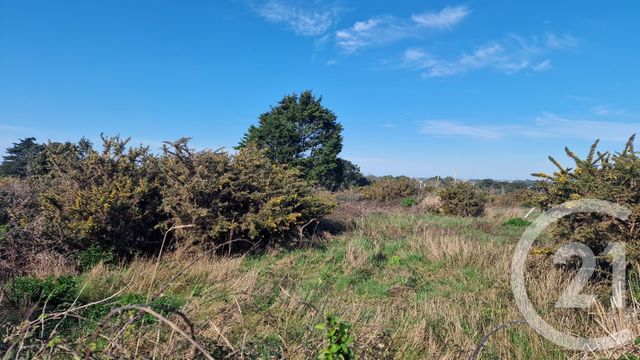 terrain à vendre - 995.0 m2 - QUIBERON - 56 - BRETAGNE - Century 21 La Presqu'Île