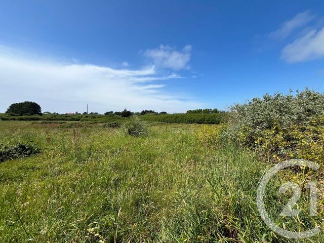 terrain - ST PIERRE QUIBERON - 56