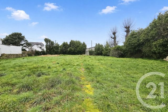 terrain - QUIBERON - 56